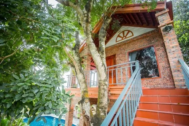 Deluxe Bungalov (Double)