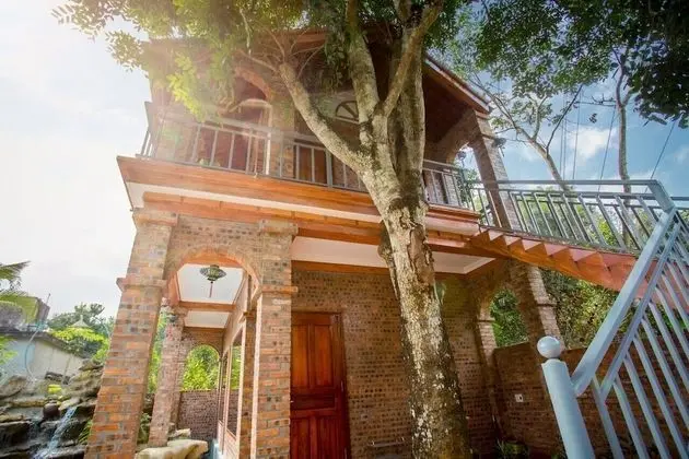 Deluxe Bungalov (Double)