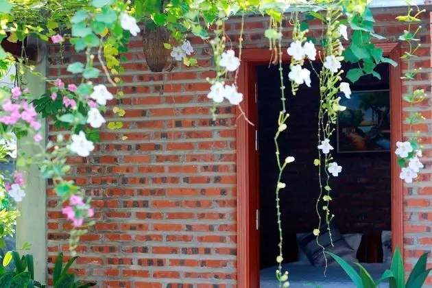 Bungalov