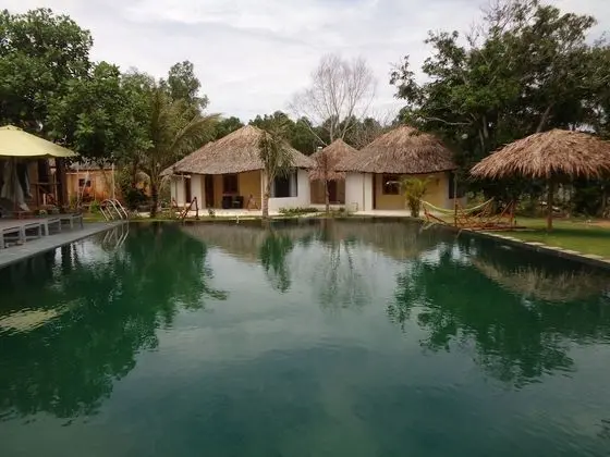 Super Palm Cottage