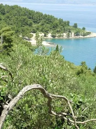Apart Daire (Nino - with view - A2-More(4+2))