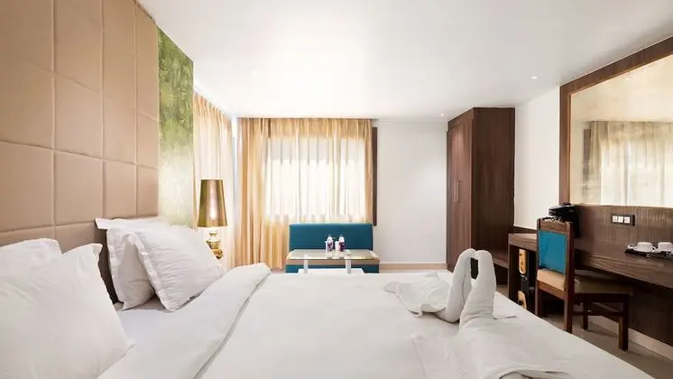 Premium Tek Büyük Yataklı Oda, 1 Yatak Odası, Şehir Manzaralı