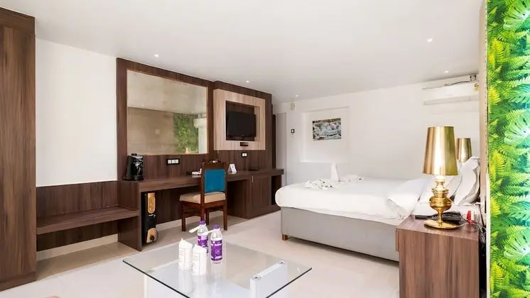 Premium Tek Büyük Yataklı Oda, 1 Yatak Odası, Şehir Manzaralı