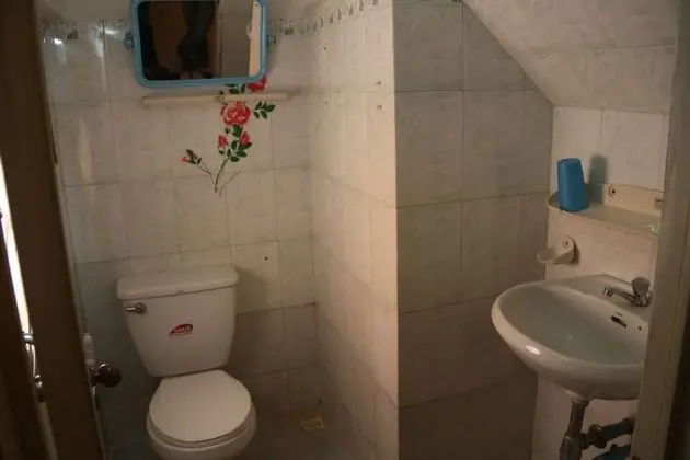 Standard Tek Büyük Yataklı Oda (Fan)