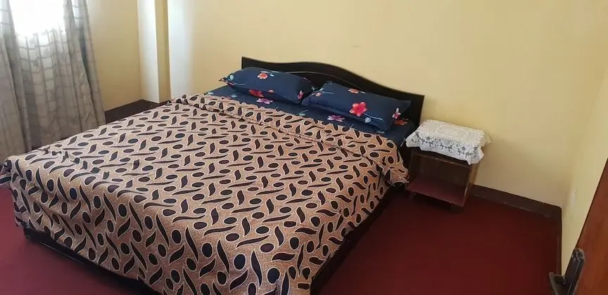 Basic Apart Daire, Birden Çok Yatak, Sigara İçilebilir