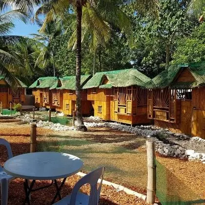 Ev, Özel Banyo (Large Bamboo)