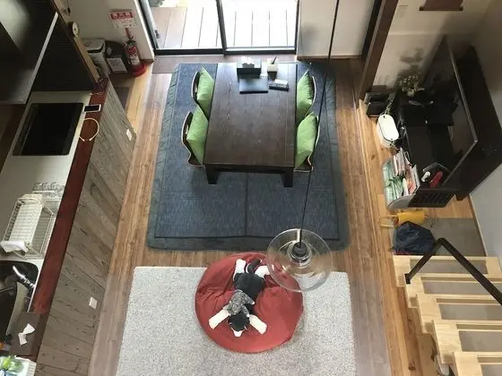 Ev