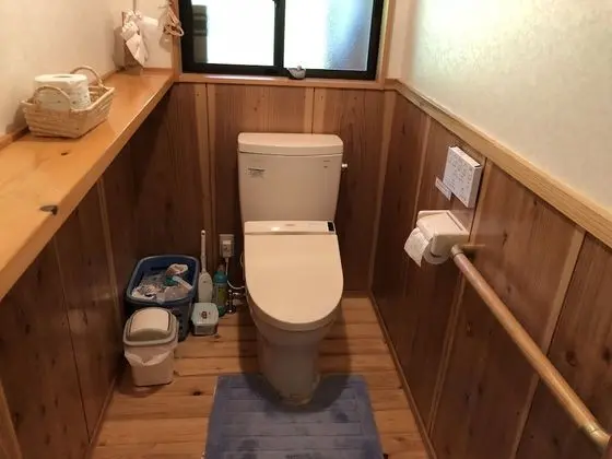 Ev