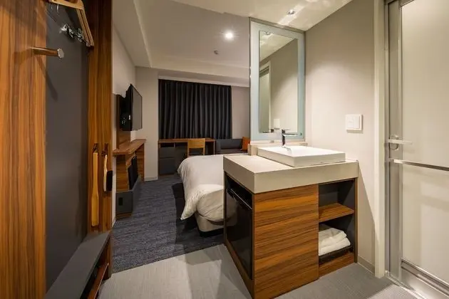 Tek Büyük Yataklı Oda, Sigara İçilebilir (Rain Shower, without bath tub)