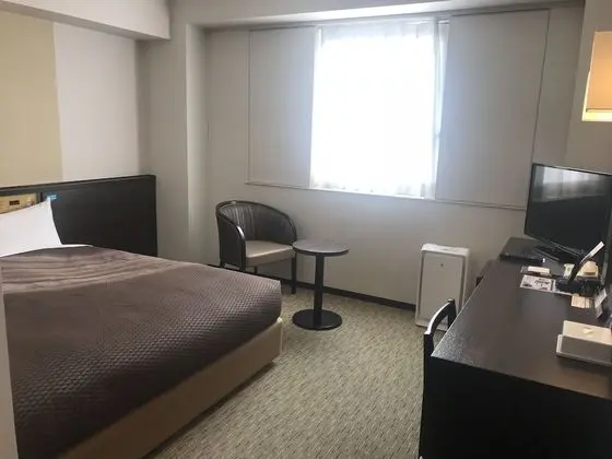 Tek Büyük Yataklı Oda, Sigara İçilmez (17 ㎡)