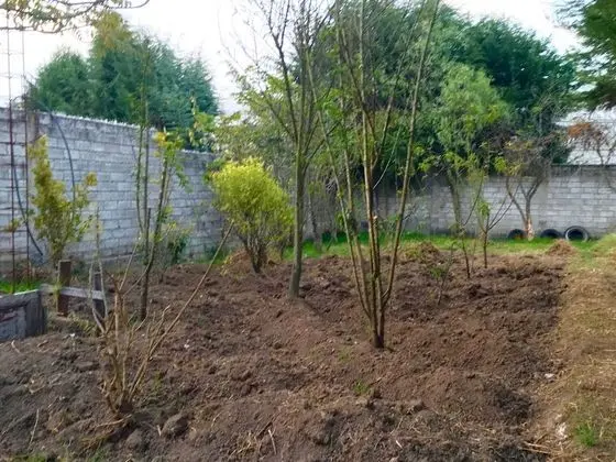 Private Bedroom Shared Bathroom