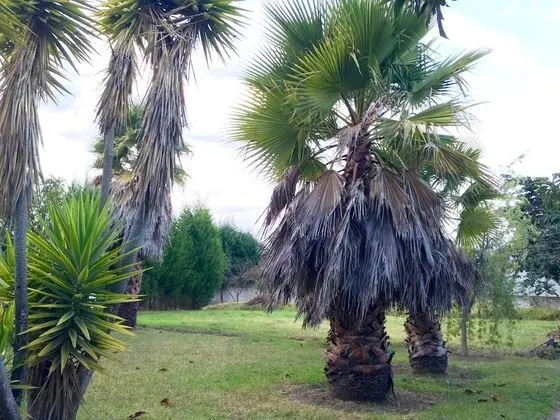 Private Bedroom Shared Bathroom