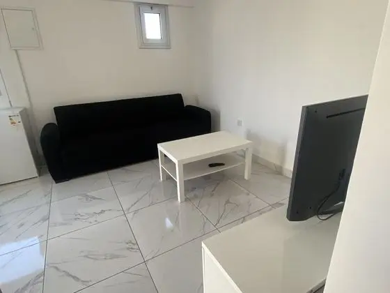 Apart Daire, 1 Yatak Odası (4 People)