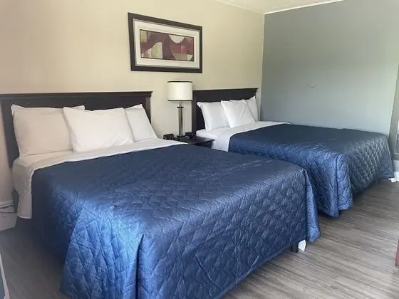 Economy Tek Kişilik Oda, 2 Çift Kişilik Yatak