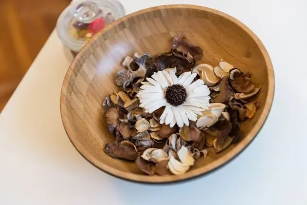 Standard Apart Daire, 1 Yatak Odası