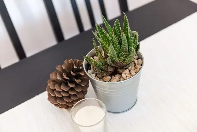 Standard Apart Daire, 1 Yatak Odası