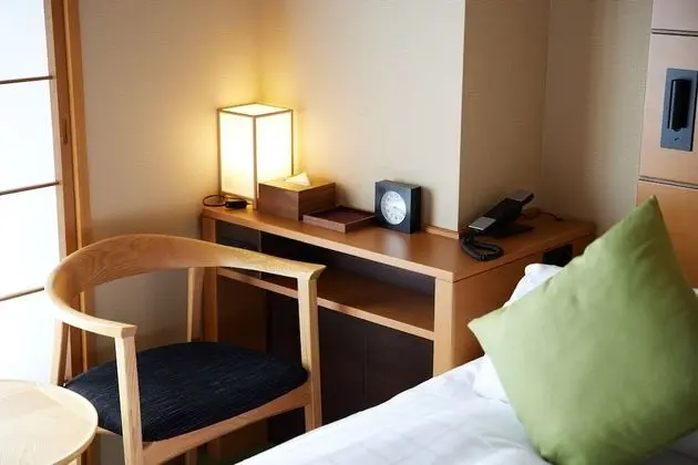 Standard Tek Büyük Yataklı Oda, Sigara İçilmez (without desk)