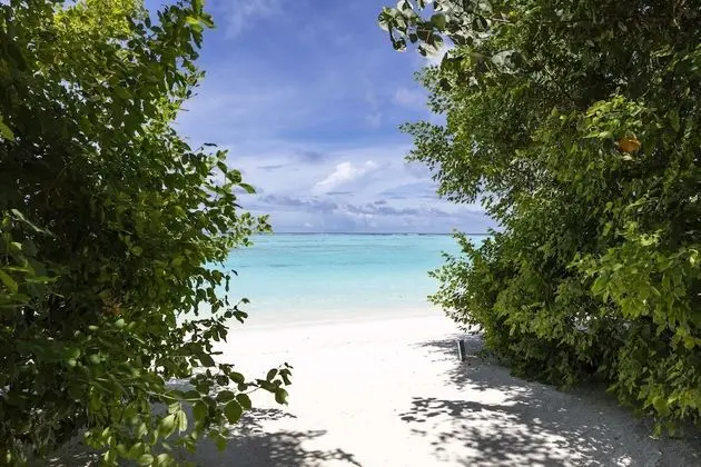 Beach Villa