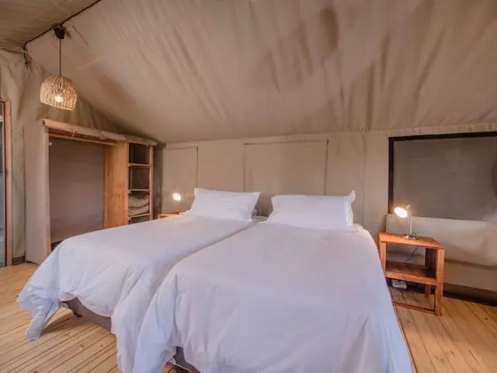 Luxury Çadır