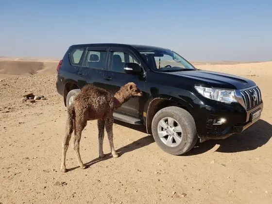 Çatı Katı (Loft), 5 Yatak Odası, Balkon