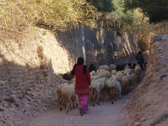 Çatı Katı (Loft), 5 Yatak Odası, Balkon