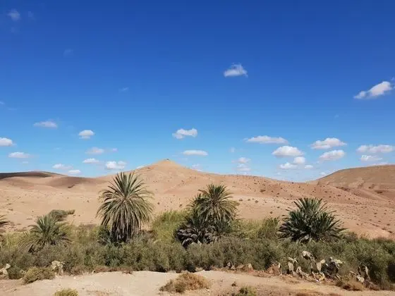 Çatı Katı (Loft), 5 Yatak Odası, Balkon