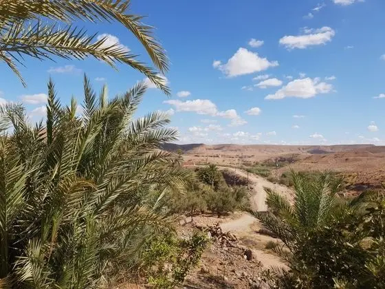 Çatı Katı (Loft), 5 Yatak Odası, Balkon