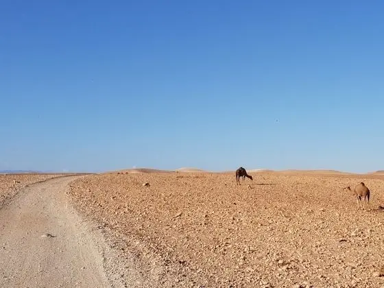 Çatı Katı (Loft), 5 Yatak Odası, Balkon