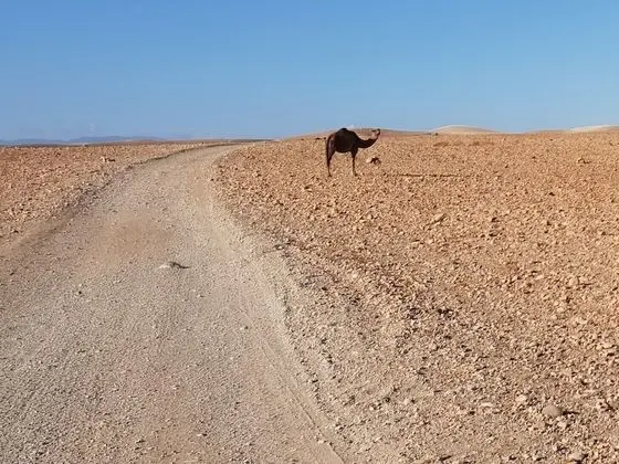 Çatı Katı (Loft), 5 Yatak Odası, Balkon