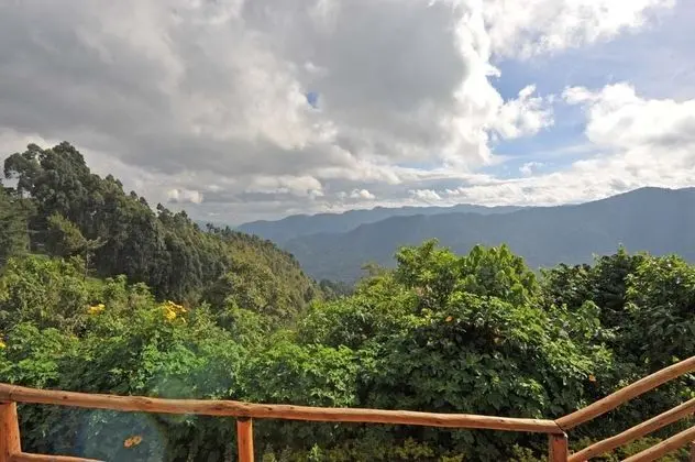 Odadan Manzara