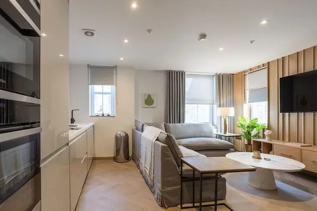 Classic Apart Daire (One Bedroom Apartment)