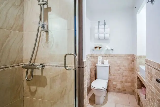 Superior Tek Büyük Yataklı Oda, Banyolu/Duşlu