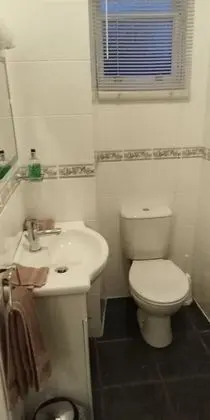 Tek Büyük Yataklı Oda (Pet 2)