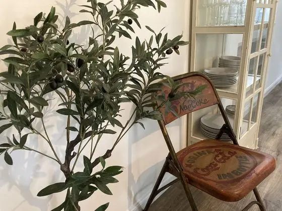 Kır Evi, Birden Çok Yatak