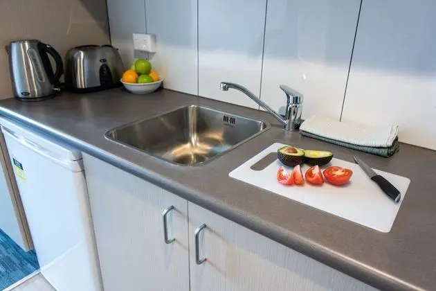 Deluxe Stüdyo, 1 Tek Kişilik XL Yatak, Sigara İçilmez, Küçük Mutfak
