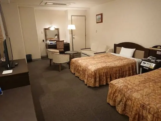 Deluxe İki Ayrı Yataklı Oda, Sigara İçilmez