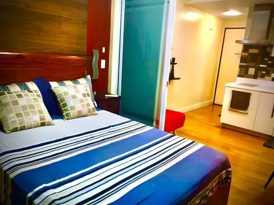 Executive Apart Daire, 1 Çift Kişilik Yatak, Sigara İçilmez, Şehir Manzaralı