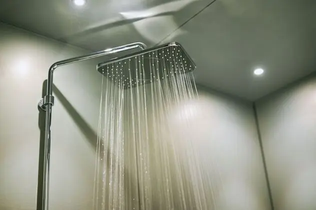 Superior Tek Büyük Yataklı Oda (Shower booth only)