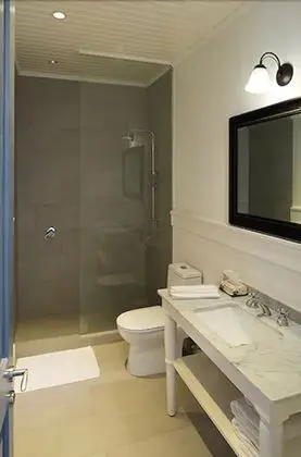 Deluxe Room 1 king bed