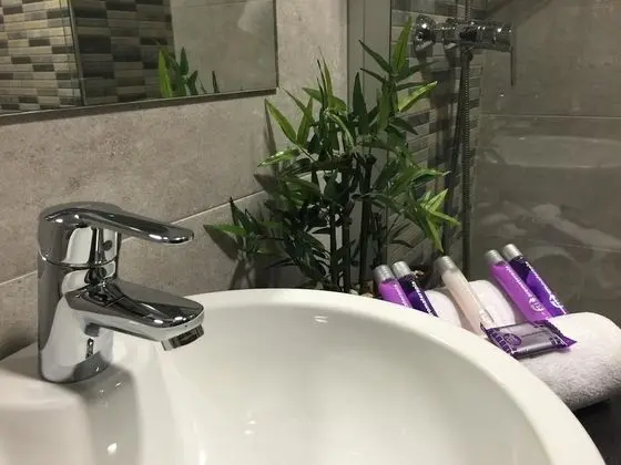 Superior Tek Büyük Yataklı Oda