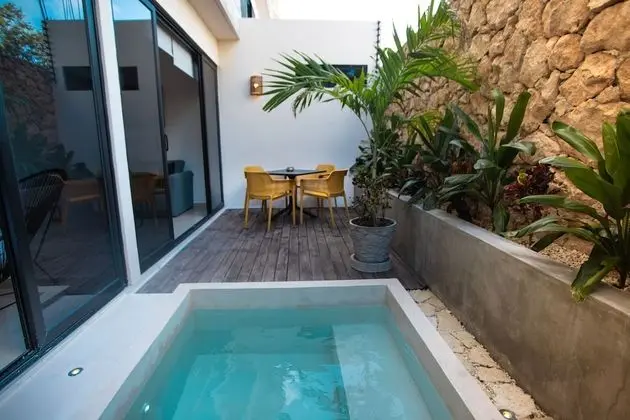 Deluxe Apart Daire, 1 En Büyük (King) Boy Yatak ve Çekyat, Kişiye Özel Havuzlu, Zemin Kat