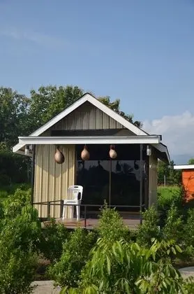 Basic İki Ayrı Yataklı Oda, Tepe Manzaralı