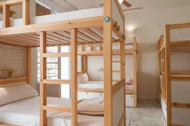 Standard Ortak Ranzalı Oda, Karma Ranzalı Oda (1 bed in a 4-Bed Dormitory Room)