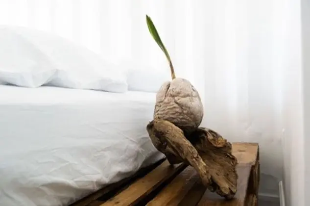 Family Apart Daire, 1 Büyük (Queen) Boy Yatak ve Çekyat, Mutfak, Plaj Manzaralı