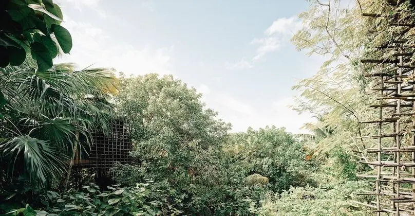 Deluxe Oda, 1 Çift Kişilik Yatak, Bahçe Manzaralı (Treehouse)