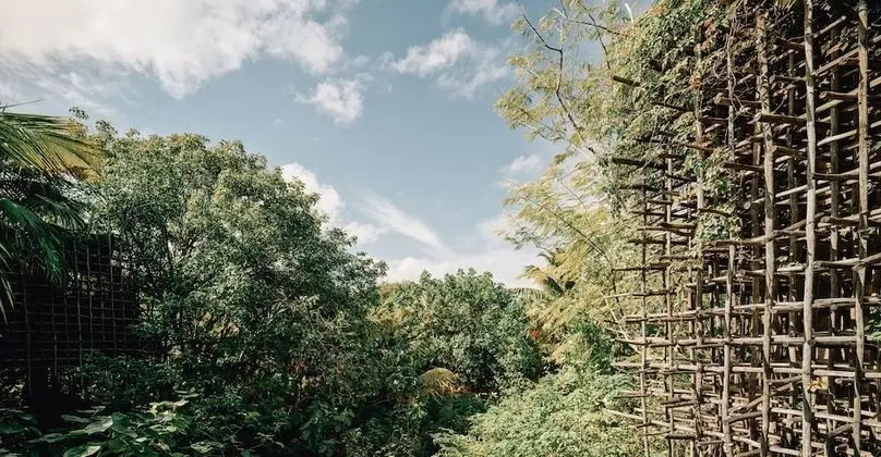 Deluxe Oda, 1 Çift Kişilik Yatak, Bahçe Manzaralı (Treehouse)