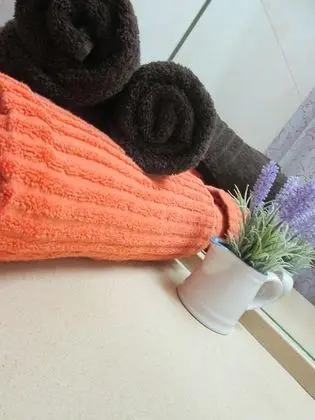 One Bedroom Apartment With Pool View