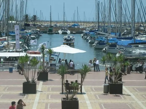 One Bedroom Apartment With Pool View