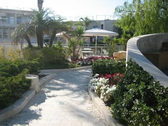 One Bedroom Apartment With Pool View