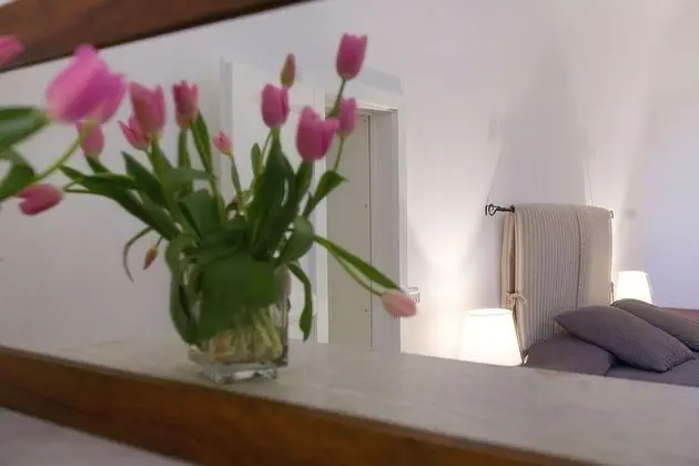 Tek Büyük Yataklı Oda (Chicchera)